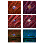 Planetary LED Aurora Bluetooth Projection Lights Remote Music Laser Lamp, 8W Black