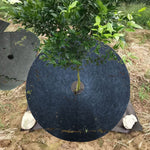 Ecologico Anti-Erba Panno Non Tessuto Giardinaggio Panno di Copertura del Pavimento Traspirante Idratante Può Ridurre la Pellicola del Giardino di Frutta, 15x2cm, 25x3cm, 27x4cm, 32x4cm, 42x5cm, 52x6cm, 62x7cm, 72x8cm, 82x10cm