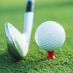 60 PCS PGM QT012 Golf Ribbon Needle Golf Plastic Ball TEE, consegna colore casuale, specifica:, 31mm, 37mm, 43mm, 51mm, 57mm, 68mm