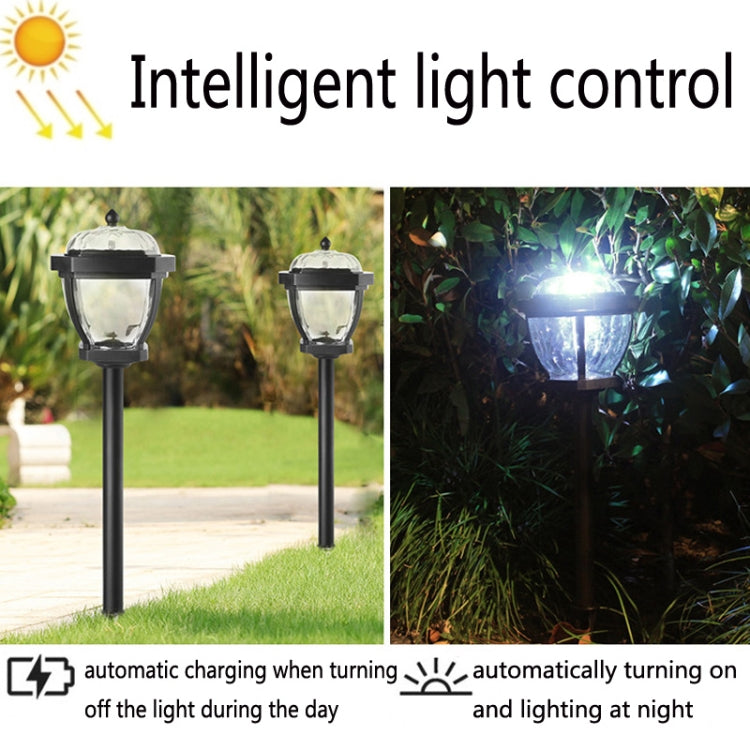 Lampada solare da giardino impermeabile 2 LED 5W