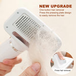 pettine elettrico per animali domestici gatto e cane spazzolatura pulizia asciugacapelli, EU Plug, US Plug, UK Plug, AU Plug