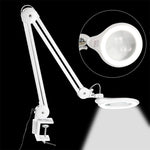 Lente d'ingrandimento 8X con luce LED e clip fissa