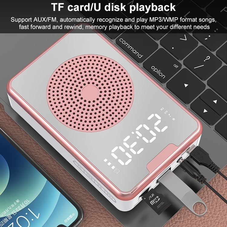 Amplificatore microfono portatile ZXL-H3 Bluetooth 5.1