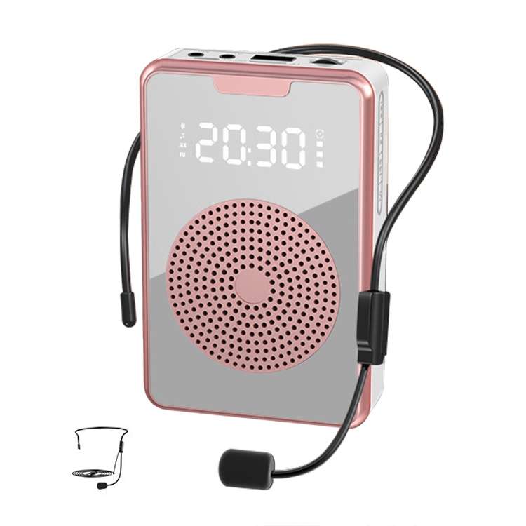 Amplificatore microfono portatile ZXL-H3 Bluetooth 5.1