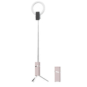 Staffa luce riempimento 10W con telecomando Bluetooth