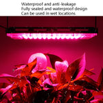 Lampada di crescita impermeabile per spettroscopia completa a luce vegetale a LED, EU Plug 24 Beads 25W, EU Plug 144 Beads 200W, UK Plug 24 Beads 25W, UK Plug 144 Beads 200W, AU Plug 24 Beads 25W, AU Plug 144 Beads 200W, Three-wire Access 24 Beads 25W ...