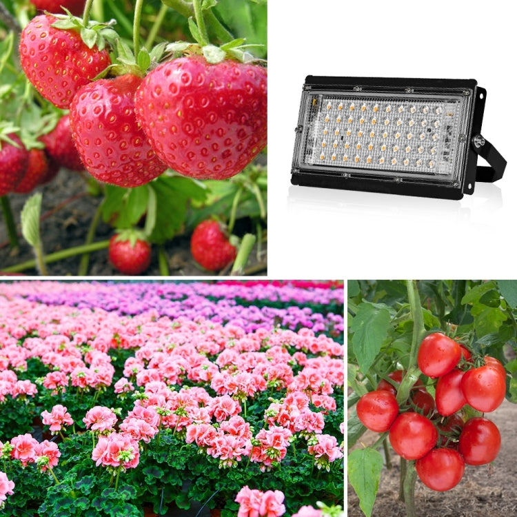 Lampada di crescita impermeabile per spettroscopia completa a luce vegetale a LED, EU Plug 24 Beads 25W, EU Plug 144 Beads 200W, UK Plug 24 Beads 25W, UK Plug 144 Beads 200W, AU Plug 24 Beads 25W, AU Plug 144 Beads 200W, Three-wire Access 24 Beads 25W ...