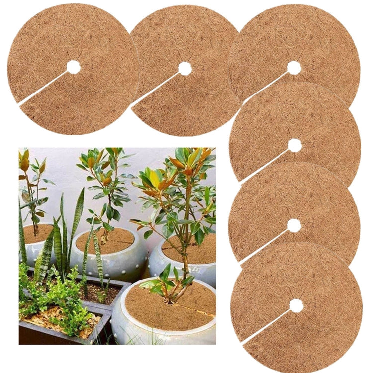 Set 6 tappetini radice piante in fibra di cocco 20-30 cm