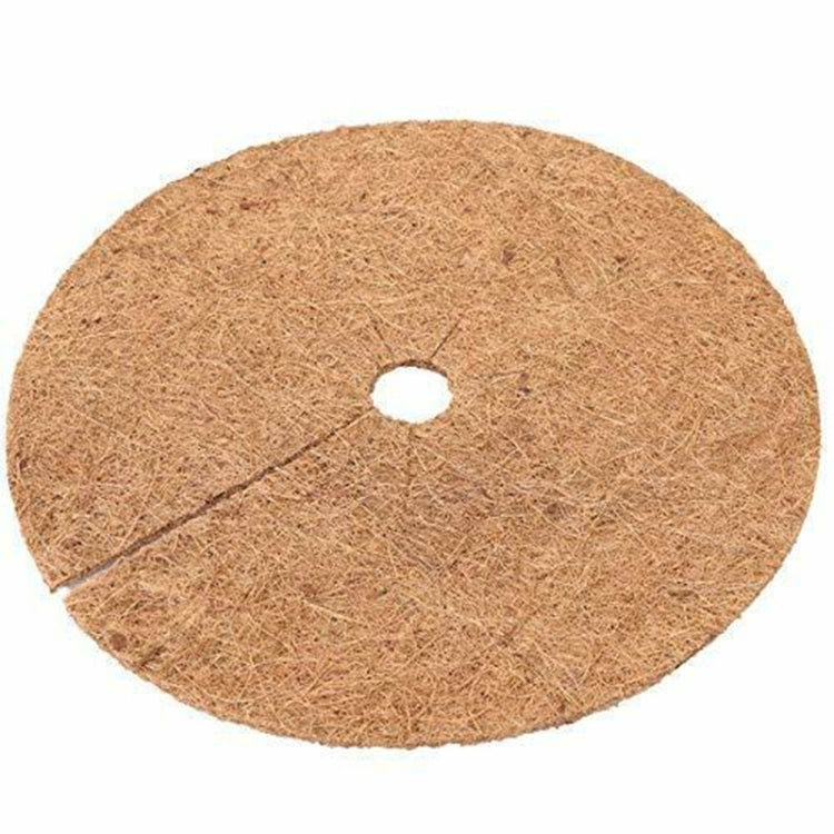 6 pezzi/set radice di piante antigelo vaso da fiori palma da cocco tappetino piatto, dimensioni:, 20cm, 30cm