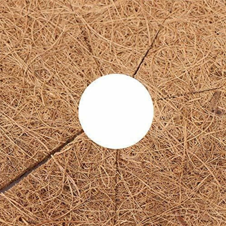 6 pezzi/set radice di piante antigelo vaso da fiori palma da cocco tappetino piatto, dimensioni:, 20cm, 30cm