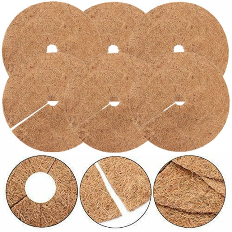 6 pezzi/set radice di piante antigelo vaso da fiori palma da cocco tappetino piatto, dimensioni:, 20cm, 30cm