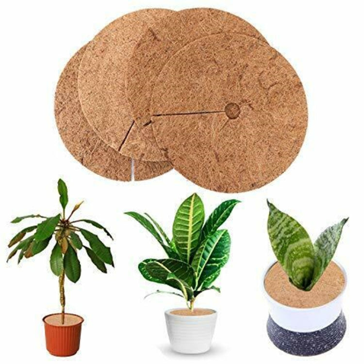 6 pezzi/set radice di piante antigelo vaso da fiori palma da cocco tappetino piatto, dimensioni:, 20cm, 30cm