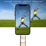 Chiavetta USB 3 in 1 Tipo-C e Lightning 256GB
