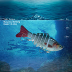 2 PCS PROBEROS HS066 10 cm 15,5 g Sub-esca per simulazione di pesca in mare, A, B, C, D, E