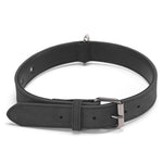 Collare in pelle a doppio strato per cani JINMAOHOU, XS 34x1.7cm, S 39x2.2cm, M 49x2.7cm