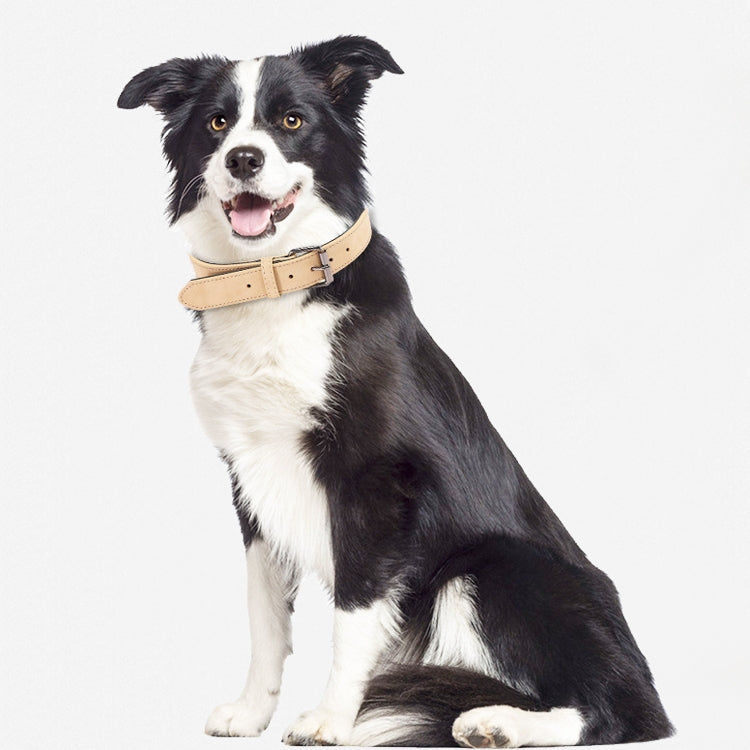 Collare in pelle a doppio strato per cani JINMAOHOU, XS 34x1.7cm, S 39x2.2cm, M 49x2.7cm