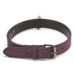 Collare in pelle a doppio strato per cani JINMAOHOU, XS 34x1.7cm, S 39x2.2cm, M 49x2.7cm