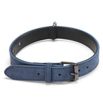 Collare in pelle a doppio strato per cani JINMAOHOU, L 59x3.2cm