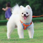 Cinghie toraciche riflettenti per cani in pelle scamosciata