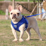 BL-844 Cinghie toraciche per animali domestici Corda per cani traspirante riflettente, dimensioni:, XS, S, M, L, XL