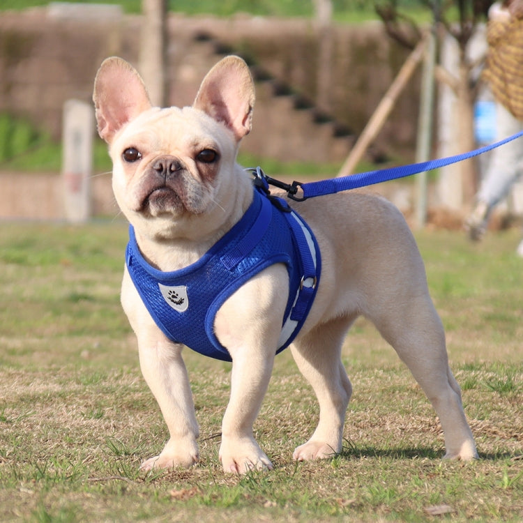 Cinghia toracica riflettente per cani e gatti XS-XL