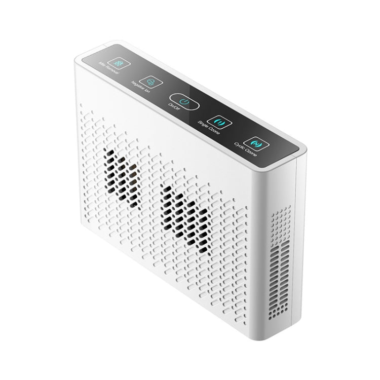 Purificatore d'aria a ioni negativi per veicoli XDCM06