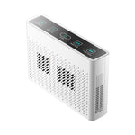 Purificatore d'aria a ioni negativi per veicoli XDCM06, XDCM06