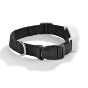 TK911 Localizzatore GPS impermeabile per animali domestici, TK911