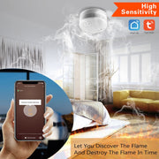 Rilevatore di fumo WiFi Smart Home TY-SMK-07