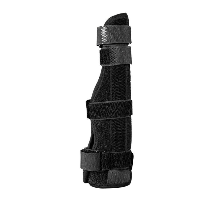 Alt immagine