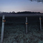 209A Repellente notturno per animali con flash solare ad alta frequenza, 209A  1pc