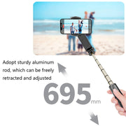 Stabilizzatore portatile per smartphone con luce rimovibile
