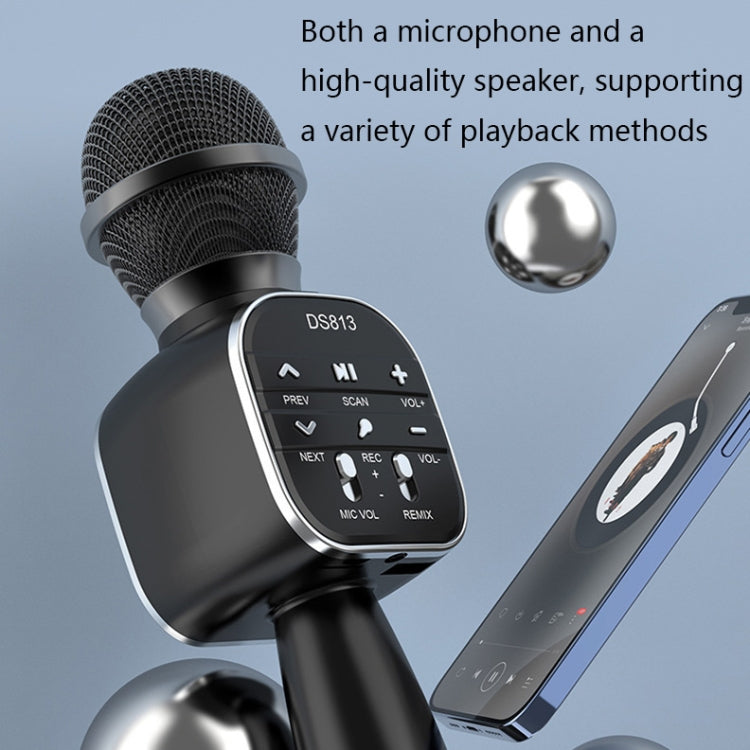 Microfono Bluetooth wireless DS813 con altoparlante 8W