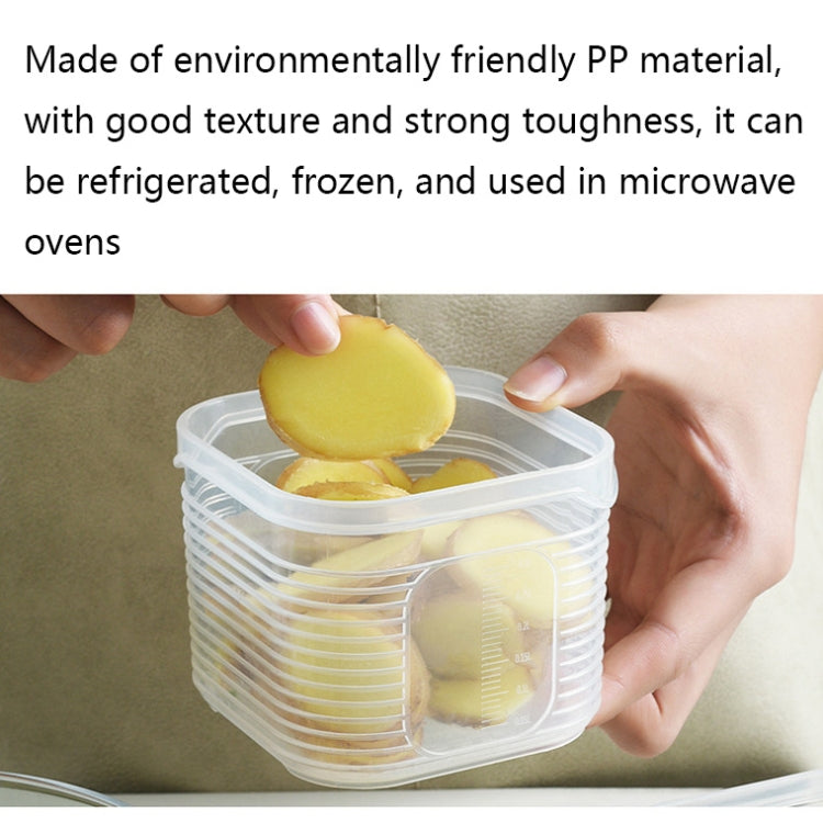 A2958 Cipolla Tritata Aglio Conservazione Frigo Con Coperchio, Small, 6-pieces / Sets, Dividered Box