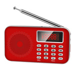 Mini Radio MP3 Ricaricabile con Radio FM e Display LED