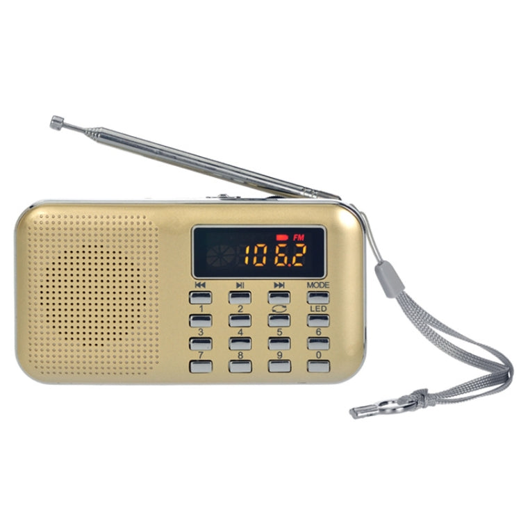 L-218AM Lettore MP3 radio con torcia LED e USB