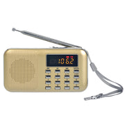L-218AM Lettore MP3 radio con torcia LED e USB