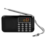 L-218AM Lettore MP3 radio con torcia LED e USB
