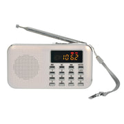 L-218AM Lettore MP3 radio con torcia LED e USB