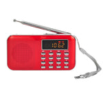 L-218AM Lettore MP3 radio con torcia LED e USB