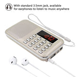 L-218AM Lettore MP3 radio con torcia LED e USB