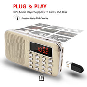 L-218AM Lettore MP3 radio con torcia LED e USB