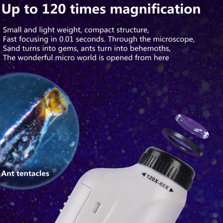 Microscopio portatile per bambini con LED e zoom 60-120x