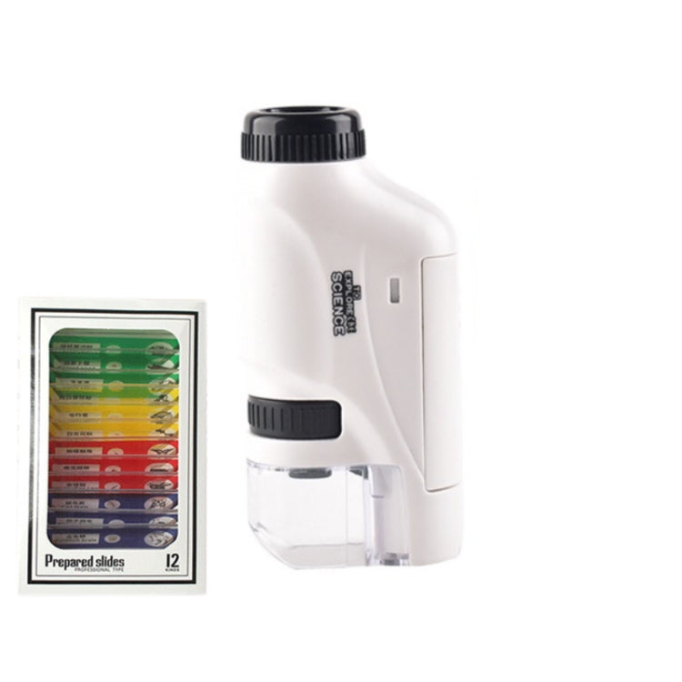 Microscopio portatile per bambini con LED e zoom 60-120x