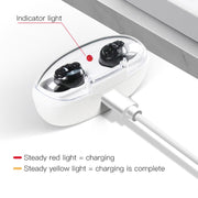 Amplificatore vocale per anziani Apparecchio acustico Carica magnetica Collettore di suoni a doppia unità, US Plug, EU Plug