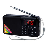 Radio Lettore FM Digitale Bluetooth Y-509FM 3W