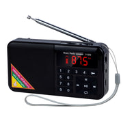 Radio Lettore FM Digitale Bluetooth Y-509FM senza pannello