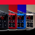 Radio Lettore FM Digitale Bluetooth Y-509FM 3W