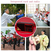 Radio Lettore FM Digitale Bluetooth Y-509FM senza pannello