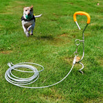 Bullone di fissaggio per chiodi a terra in acciaio inossidabile con guinzaglio per animali domestici all'aperto, specifica:, Upgrade + Wire Rope, Classic + Wire Rope